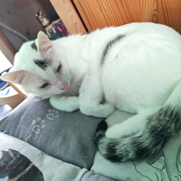 23-020_NickFugas_22z