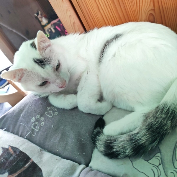 23-020_NickFugas_22z