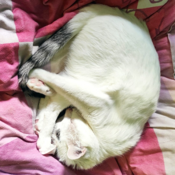 23-020_NickFugas_23z