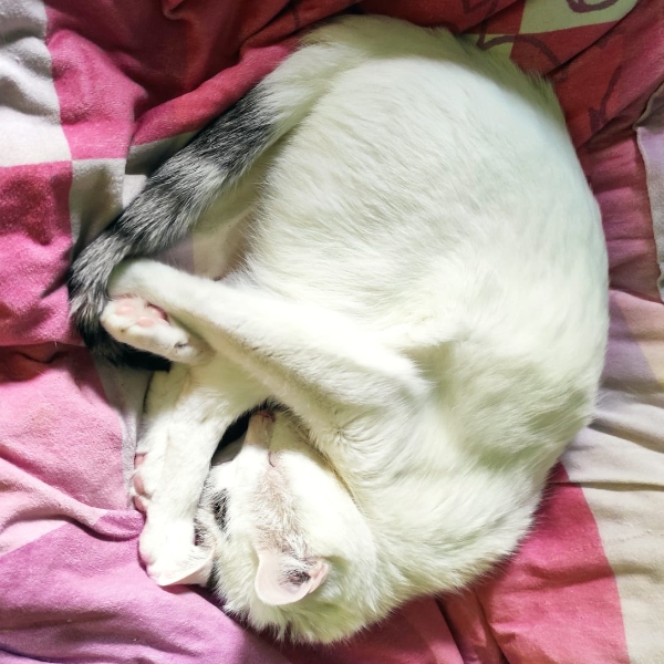 23-020_NickFugas_23z