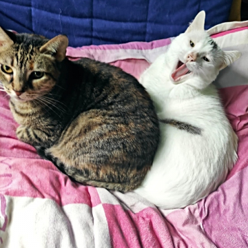 23-020_NickFugas_24z