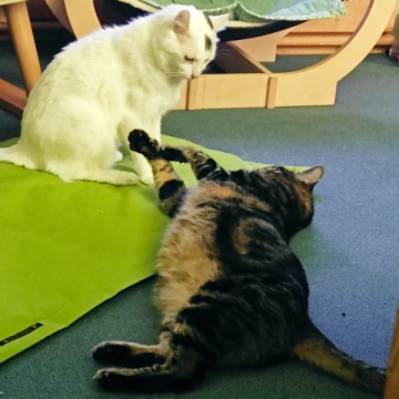 23-020_NickFugas_25z