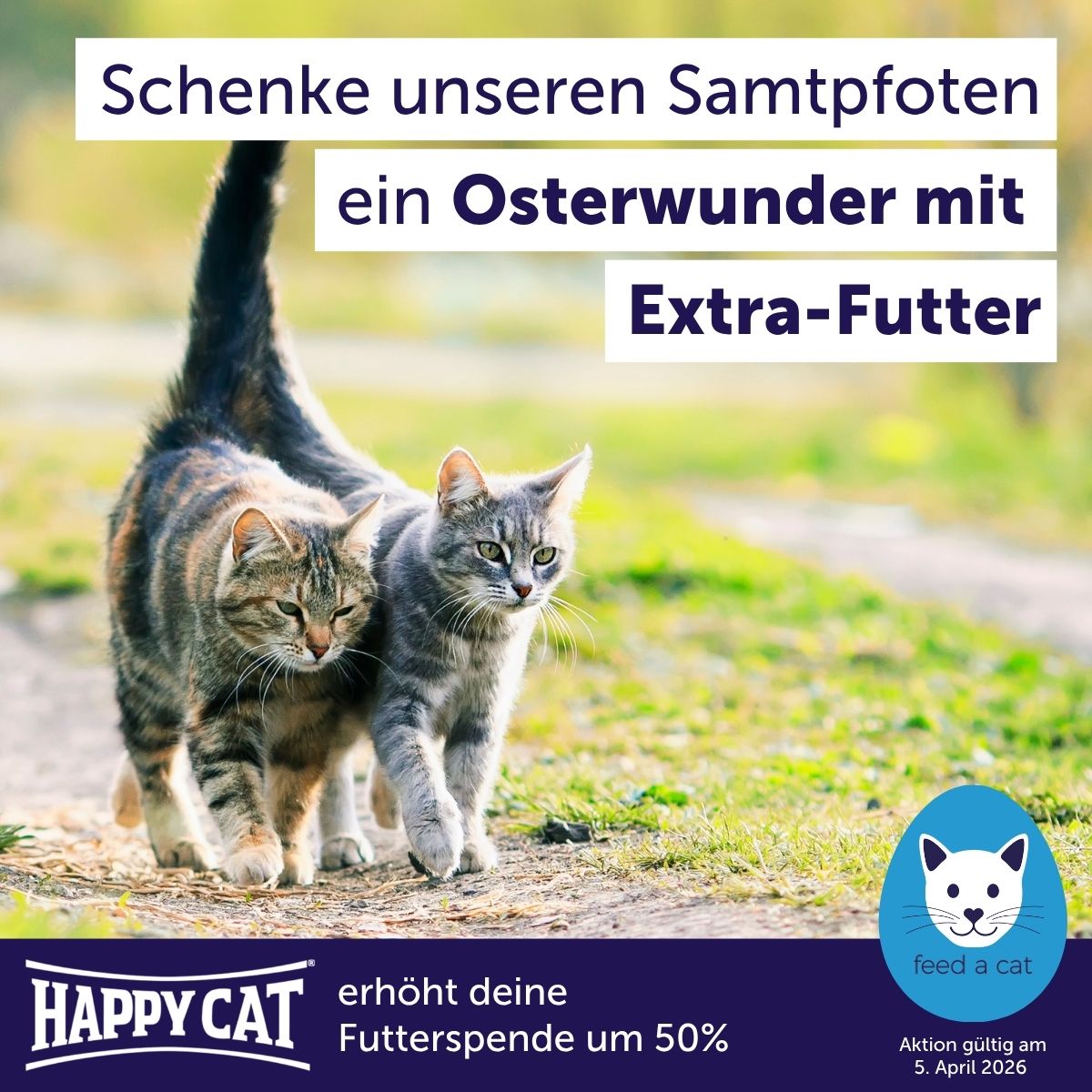 Feedacat_Ostern2026