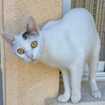 26-105_Socrates_01
